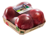 Foodtainer