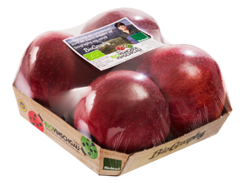 Foodtainer