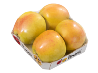 Vassoio