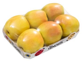 Foodtainer