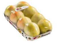 Foodtainer