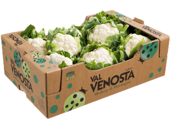 Cauliflower<br>Cardboard box