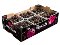 Cerezas<br>Cartón