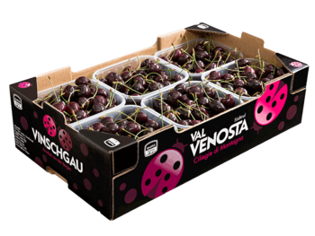 Cerezas<br>Cartón