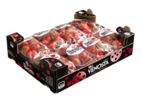 Fresas<br>Cartón flowpack