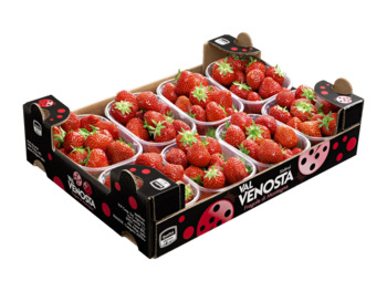 Strawberries<br>Cardboard box