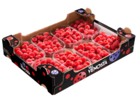 Rasperries<br>Cardboard box