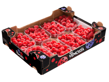 Rasperries<br>Cardboard box