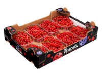Red currants<br>Cardboard box
