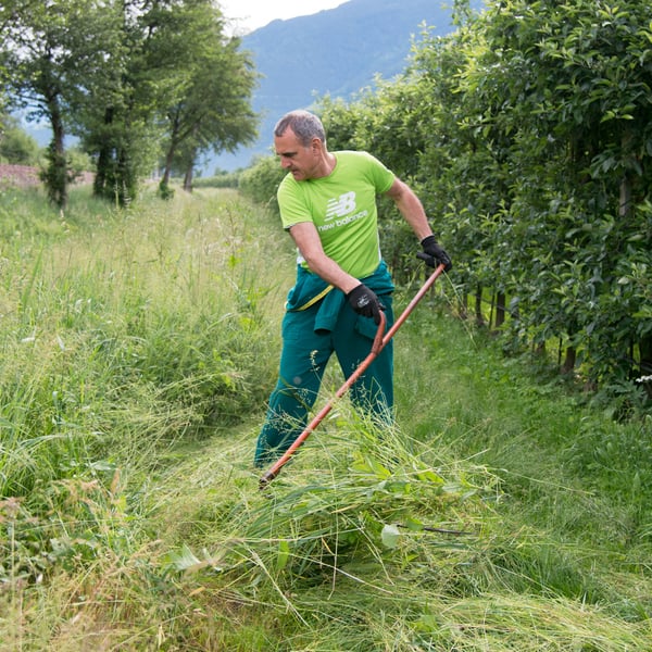 Klotzner Karl