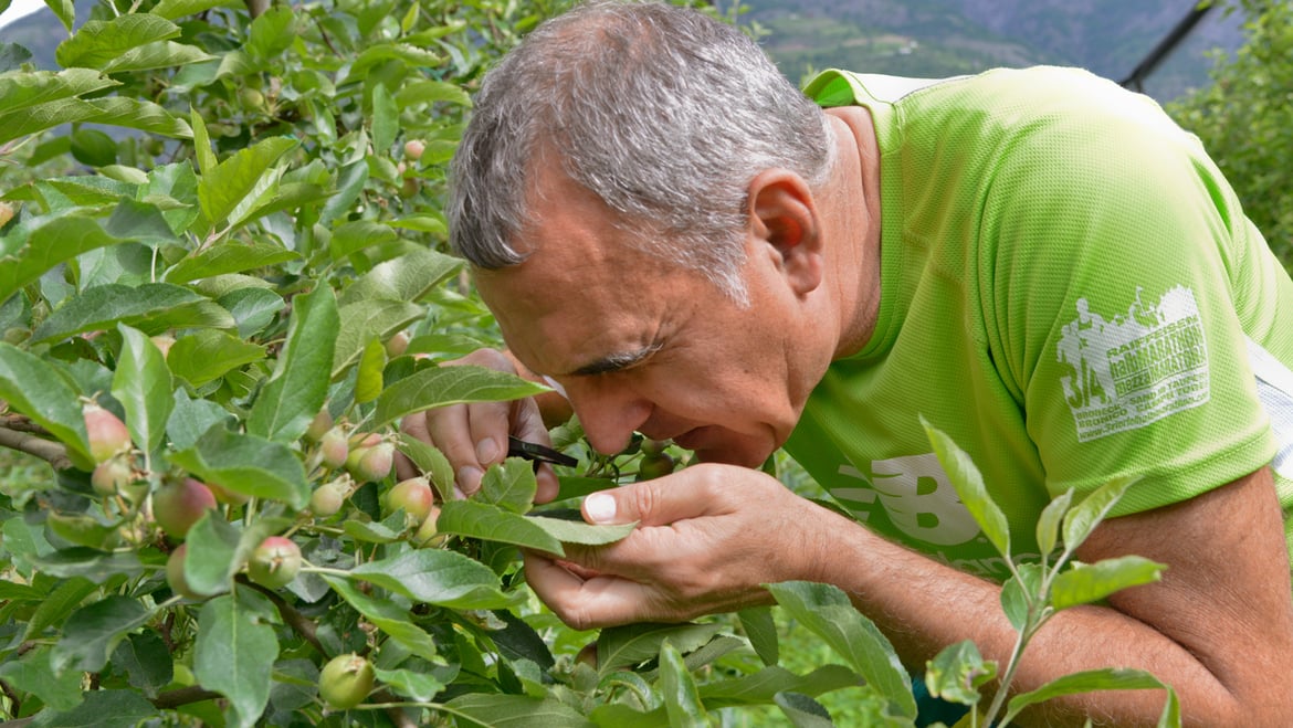 Klotzner Karl