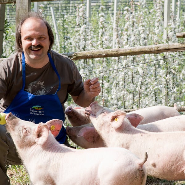 Sonnenburger Oswald