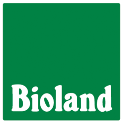 Bachmann Rudolf