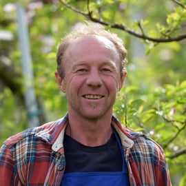 Frischmann Josef