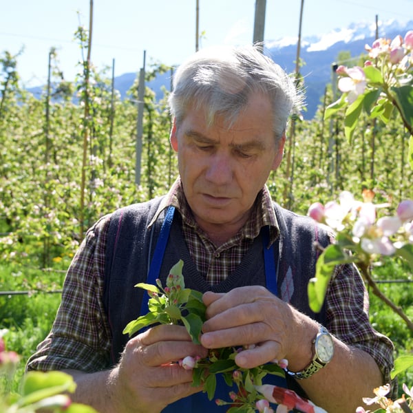 Gurschler Florian