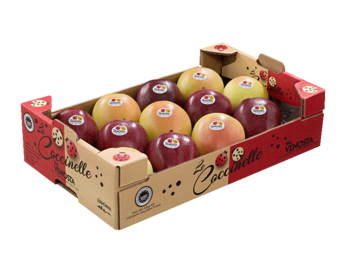 Mini-Baby cardboard box<br>"Le Coccinelle"