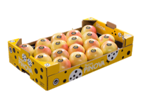 Padella Pinova gialla<br>30x50x10