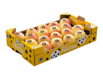 Padella Pinova gialla<br>30x50x10