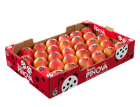 Cardboard box<br>Pinova red<br>40x60x10