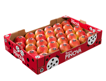 Cardboard box<br>Pinova red<br>40x60x10