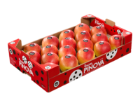 Padella Pinova rossa<br>30x50x10