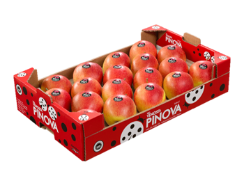 Padella Pinova rossa<br>30x50x10