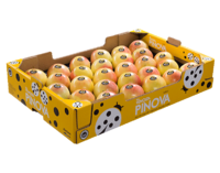 Cardboard box<br>Pinova yellow<br>40x60x10