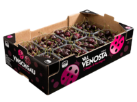 Cerezas<br>Cartón