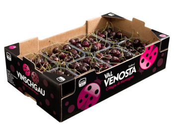 Cerezas<br>Cartón