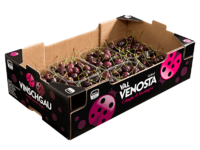 Cherries<br>Cardboard box