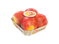 Foodtainer