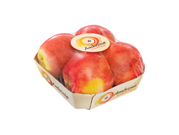Bandeja de frutas