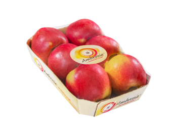 Foodtainer