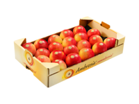 Padella<br>30x50x10