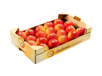 Cardboard box<br>30x50x10