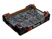 Heidelbeeren<br>Karton