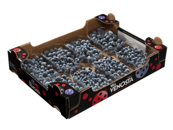 Blueberries<br>Cardboard box