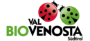 Really natural talents: Organic apples
