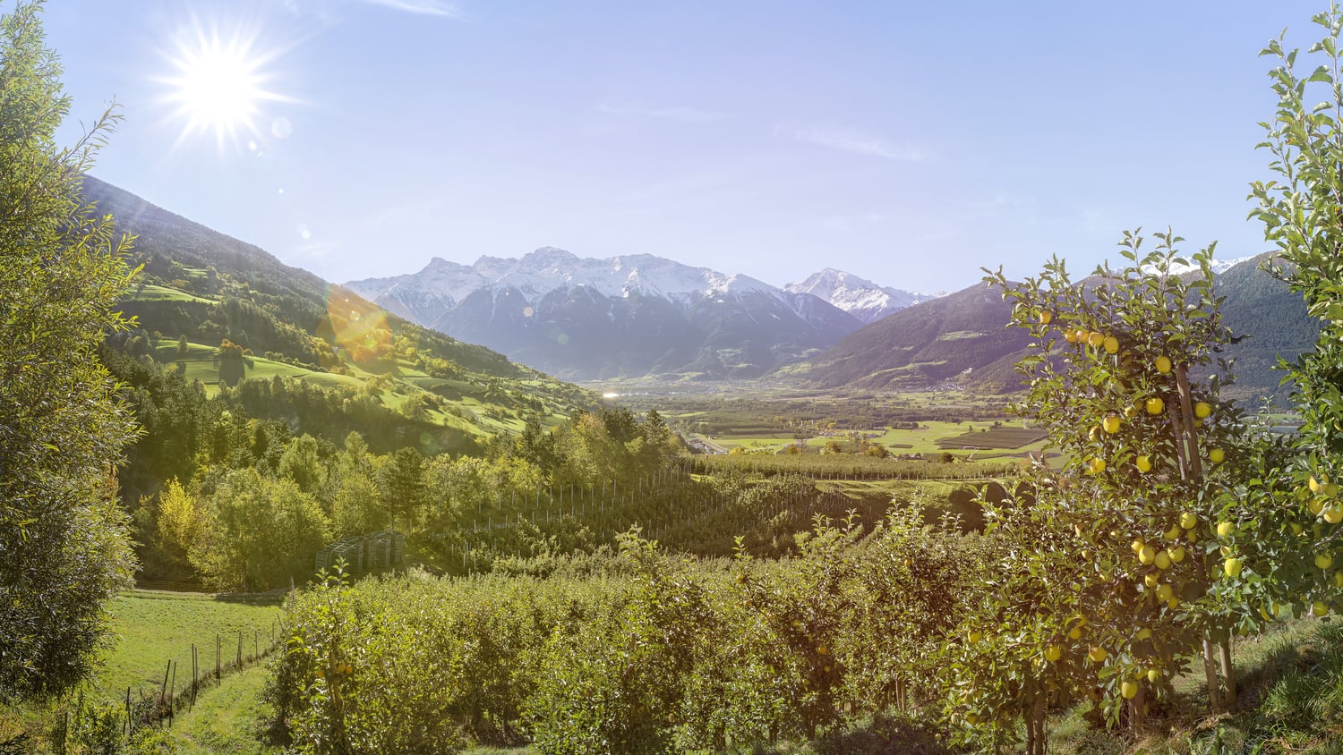 Temperatur- schwankungen