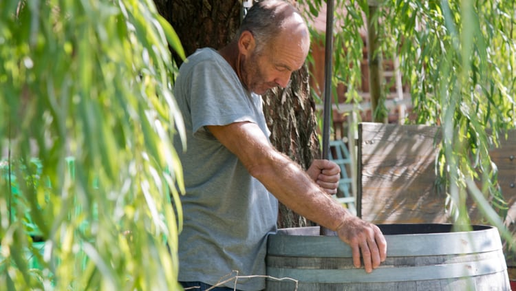 Demeter: Mensch und Natur im Einklang