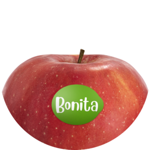 Bonita