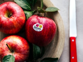 Royal Gala Apfel