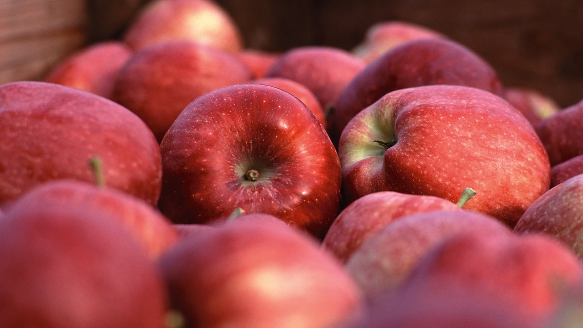 Red Delicious Apfel