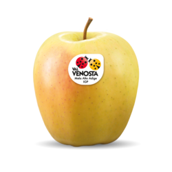 Golden Delicious Apfel