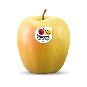 Golden Delicious