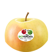 Golden Delicious bio