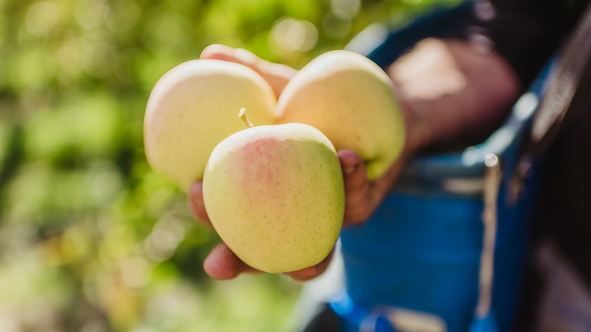 Golden Delicious Apfel