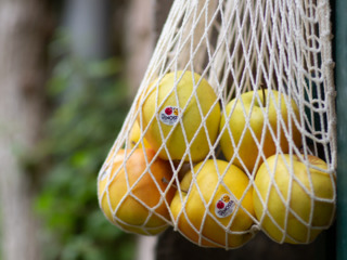 Mela Golden Delicious