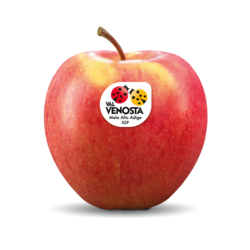 Pinova