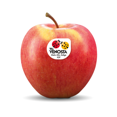 Pinova